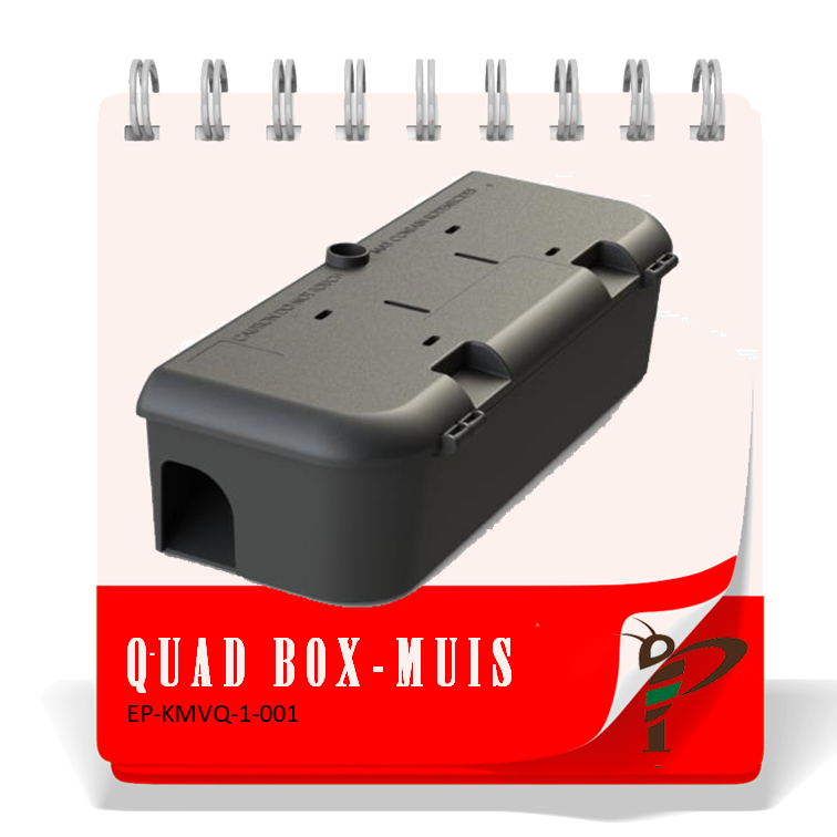 Quadro Box Muizen