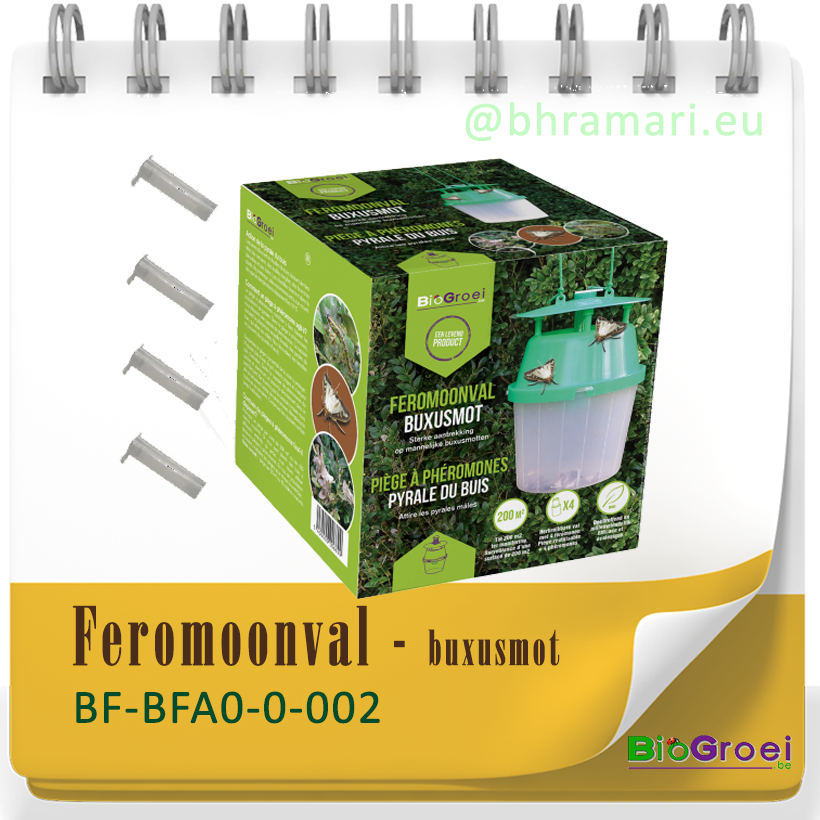 Funnelval buxusmot  incl. 4 feromonen