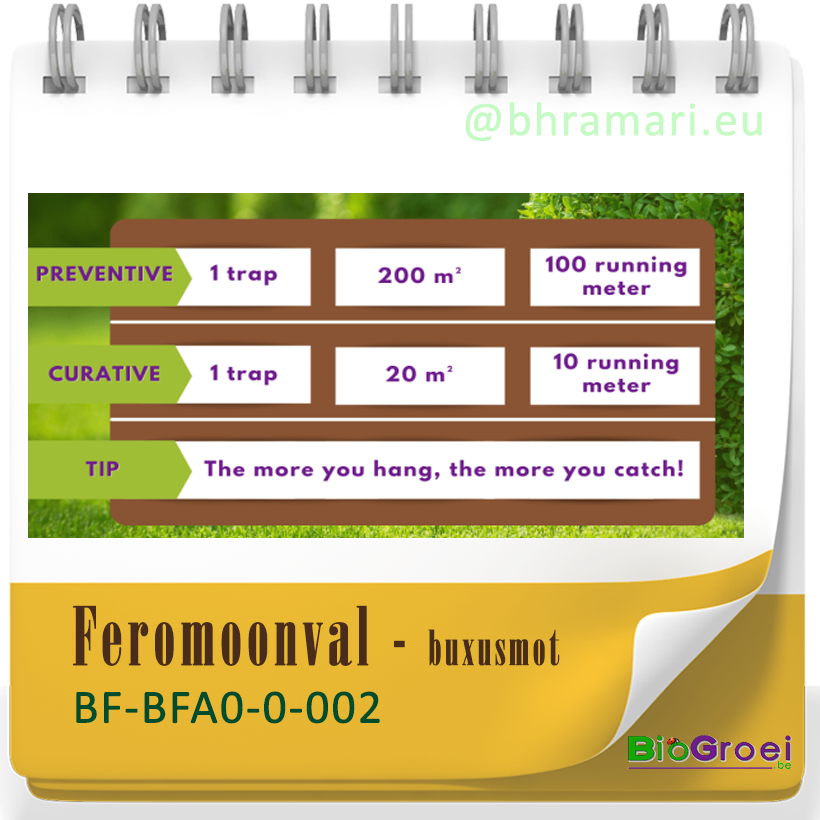 Funnelval buxusmot  incl. 4 feromonen