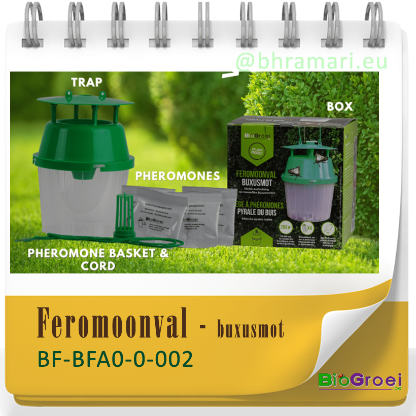Funnelval buxusmot  incl. 4 feromonen