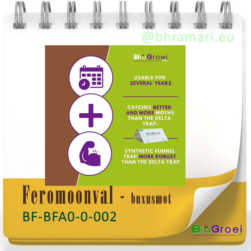 Funnelval buxusmot  incl. 4 feromonen