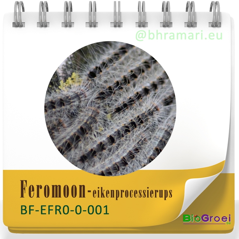 Feromooncapsule eikenprocessierups