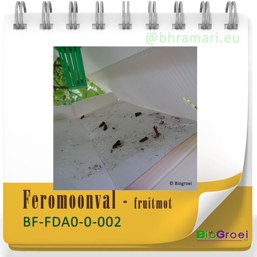 deltaval fruitmot incl. 2 feromonen