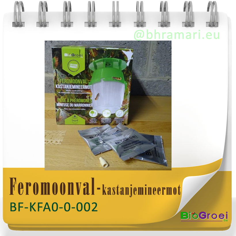 Funnelval Kastanjemineermot  incl. 4 feromonen