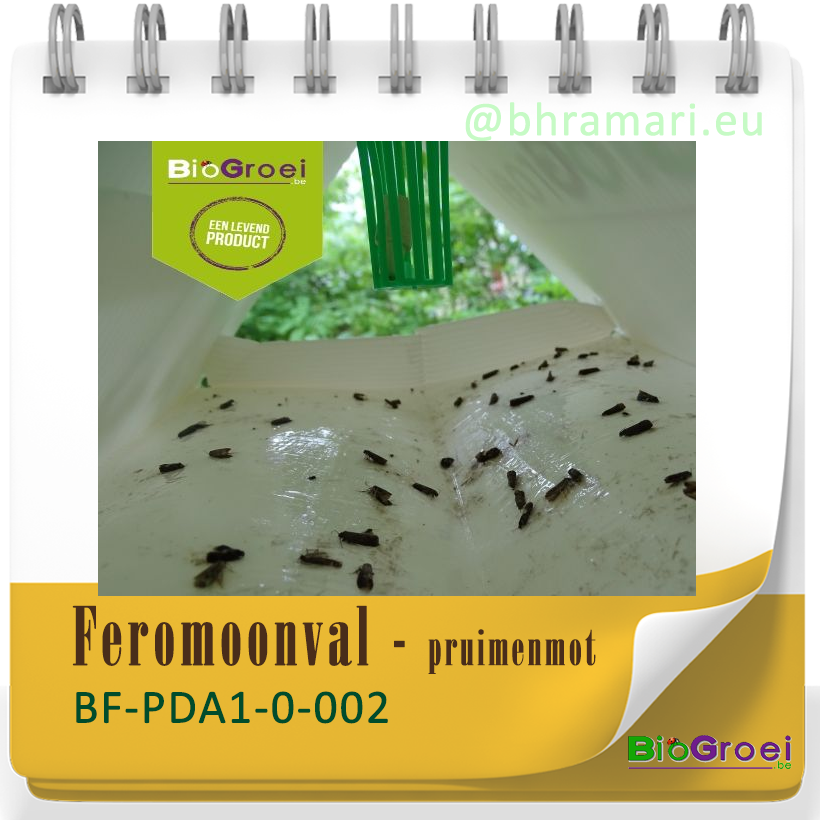 deltaval pruimenmot incl. 2 feromonen