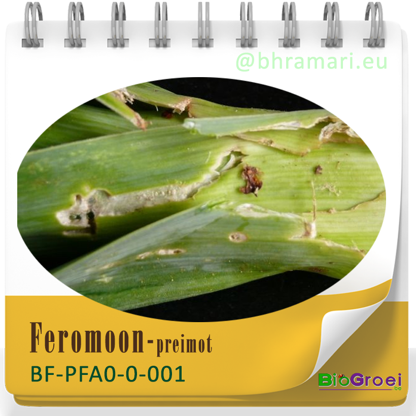 Feromooncapsule preimot