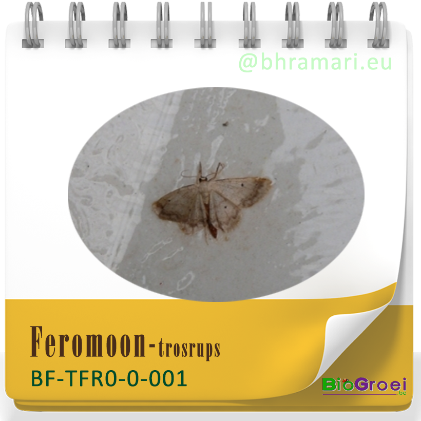 Feromooncapsule trosrups