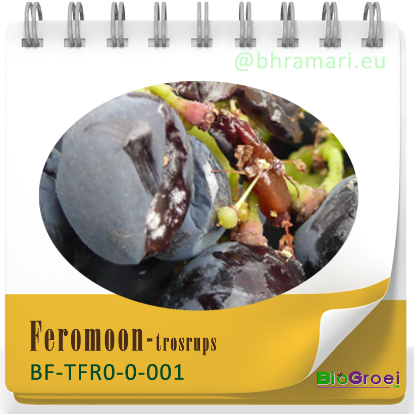 Feromooncapsule trosrups