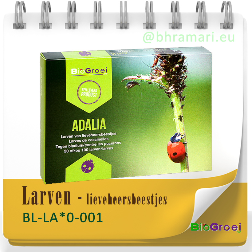 Larven - Lieveheersbeestjes