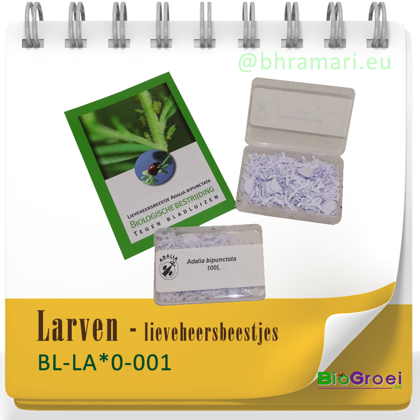 Larven - Lieveheersbeestjes