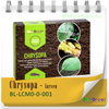 Chrysopa - larven van gaasvlieg tegen bladluis