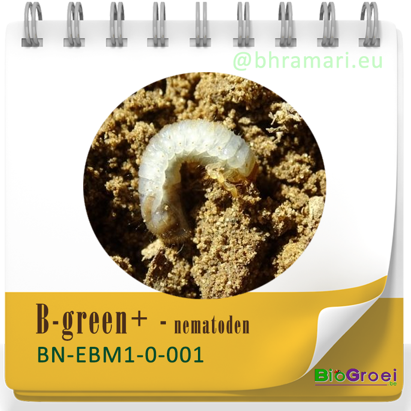 B-Green+ Aaltjes tegen grote engerlingen