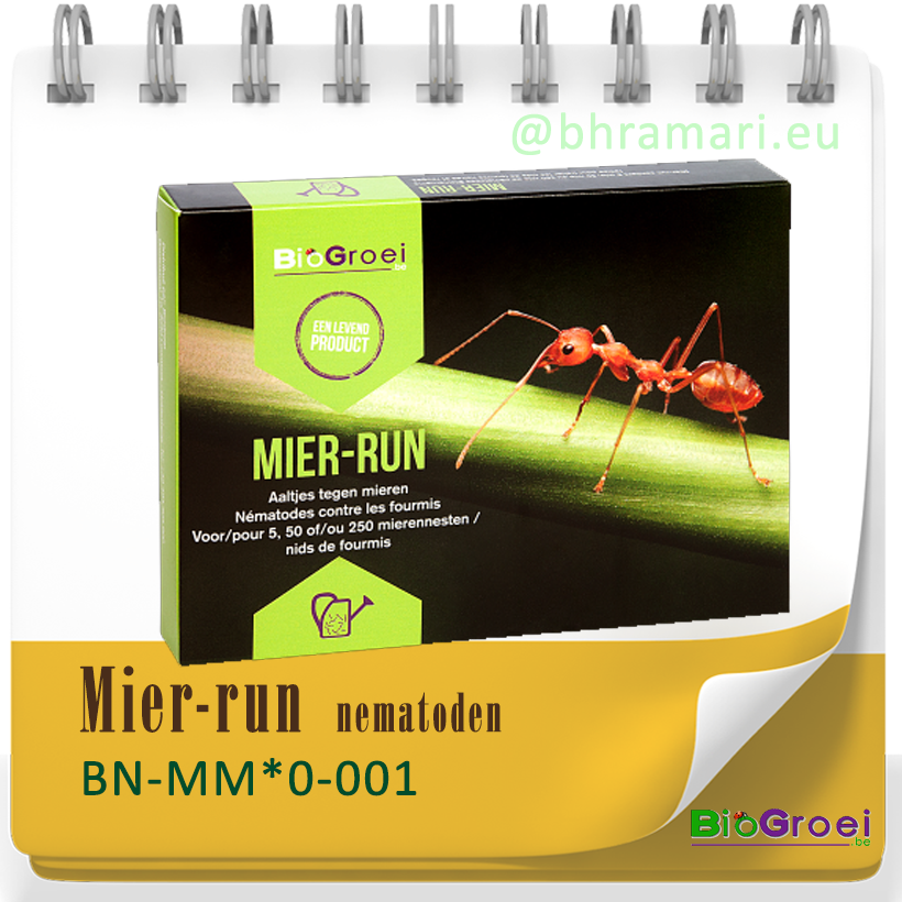 Mier-run tegen mieren