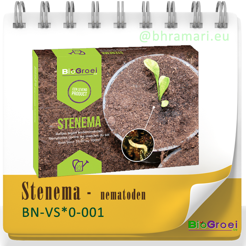 Stenema tegen Varenrouwmug