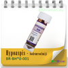 Hypoaspis - Bodemroofmijt