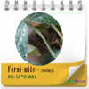 Forni-mite - roofmijt tegen spint