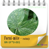 Forni-mite - roofmijt tegen spint