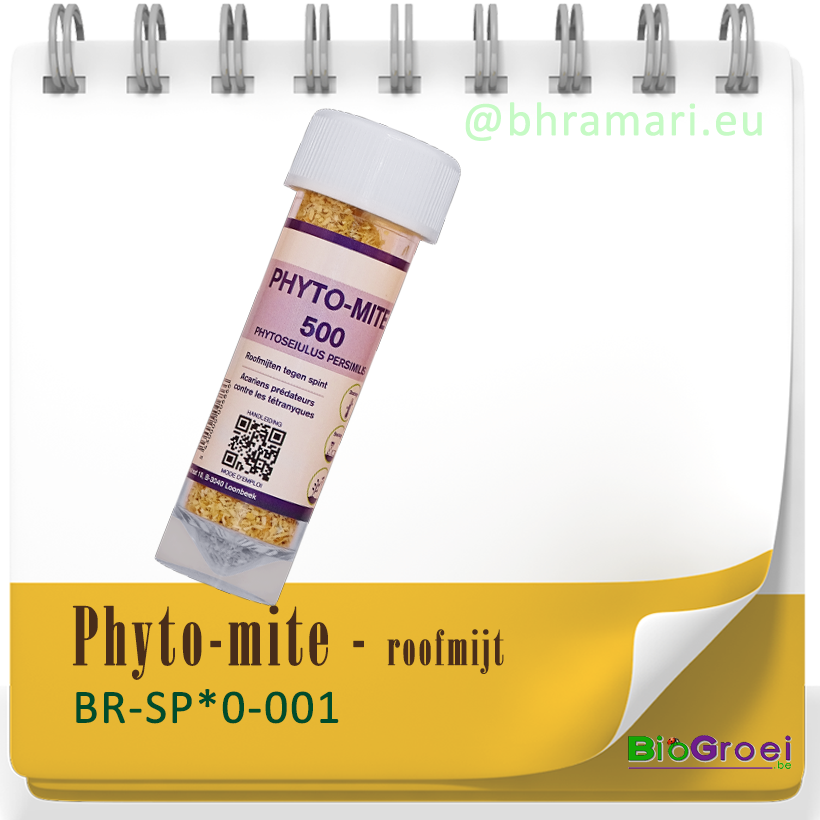 Phyto-mite - roofmijt tegen spint