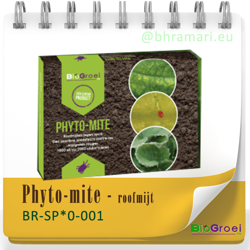 Phyto-mite - roofmijt tegen spint