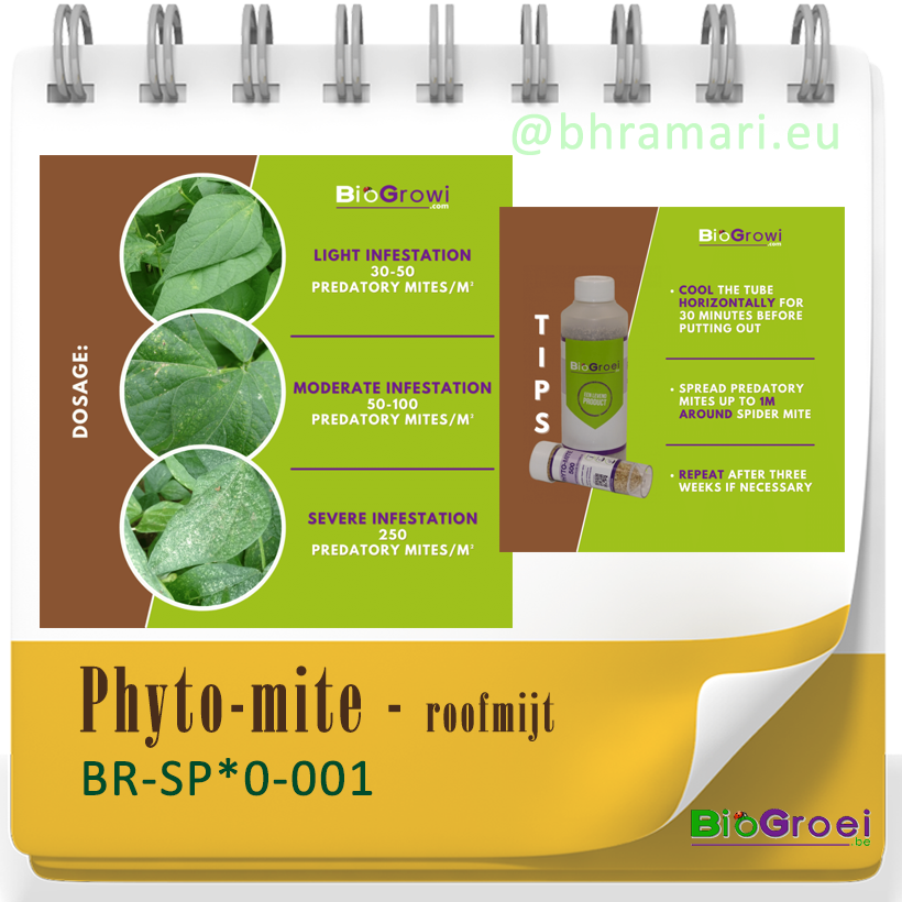 Phyto-mite - roofmijt tegen spint