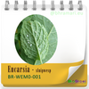 Encarsia - sluipwesp tegen witte vlieg