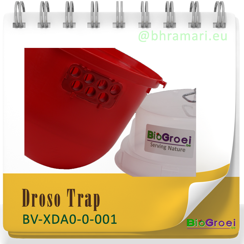 Droso trap - Fruitvliegjes val