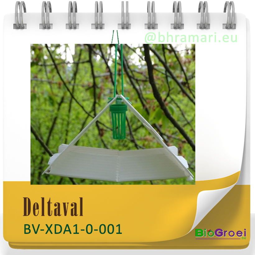 Deltaval