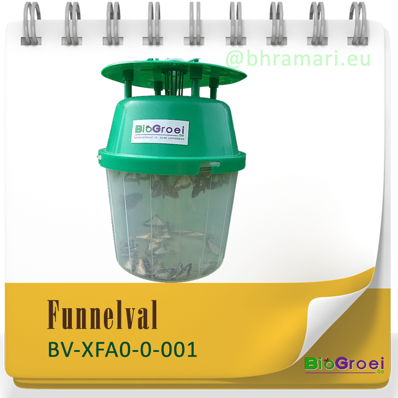 Funnelval